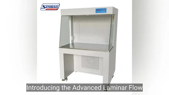 Advanced Laminar Flow Clean Bench for Laboratory Use
